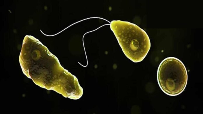 South Korean man dies from "brain-eating amoeba"