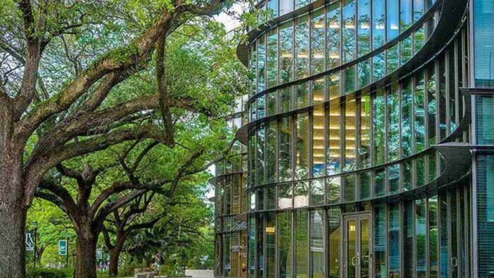 Tulane University Tulane University