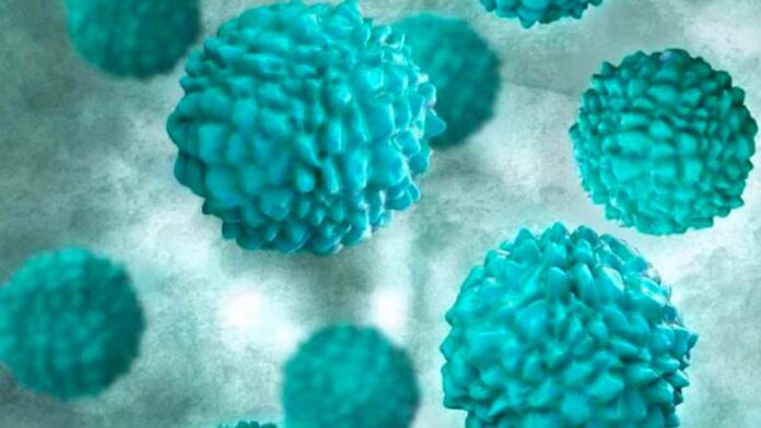 Norovirus hits Kerala