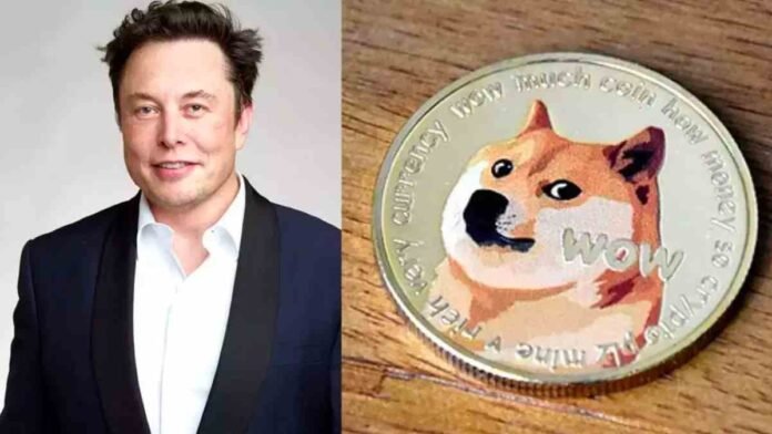 Doge Meme