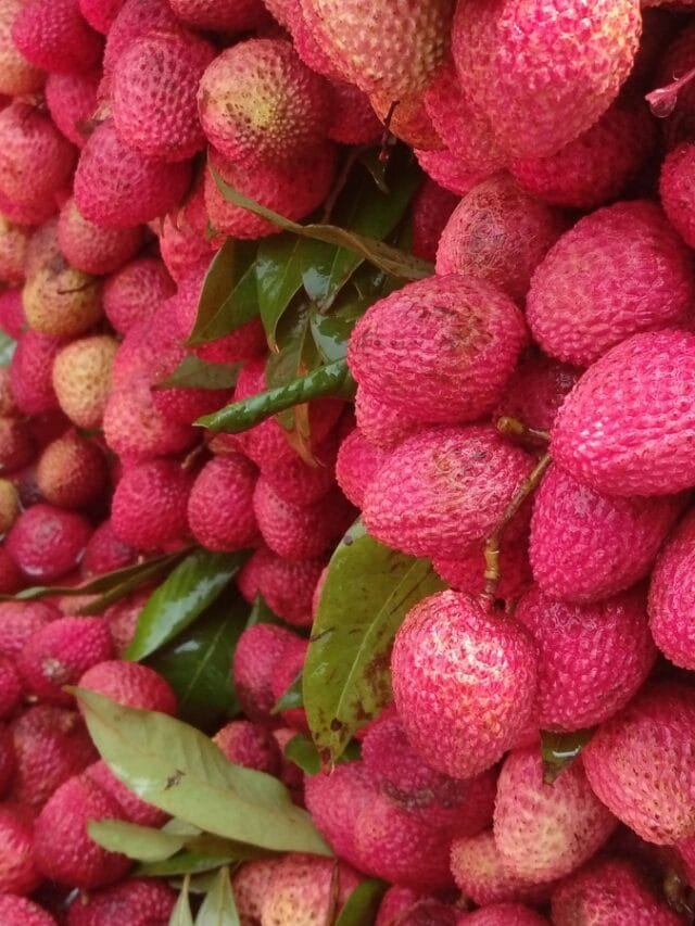 Untitled design (63)