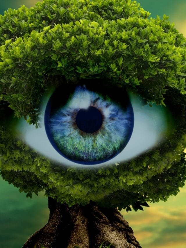 eye