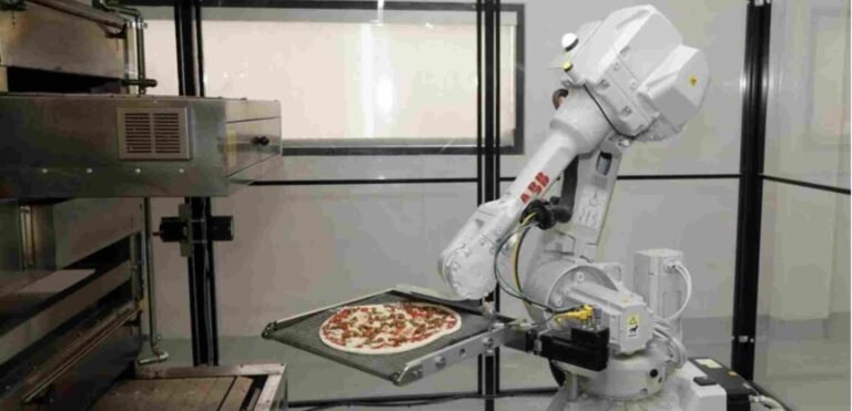Shocking business failure: A Robot Pizza startup shut down despite $450M funding just because of Cheese 