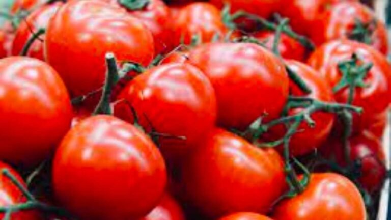 Rising Tomato Prices: Common Man Bears the Brunt as Rates Cross Rs 100 per Kg
