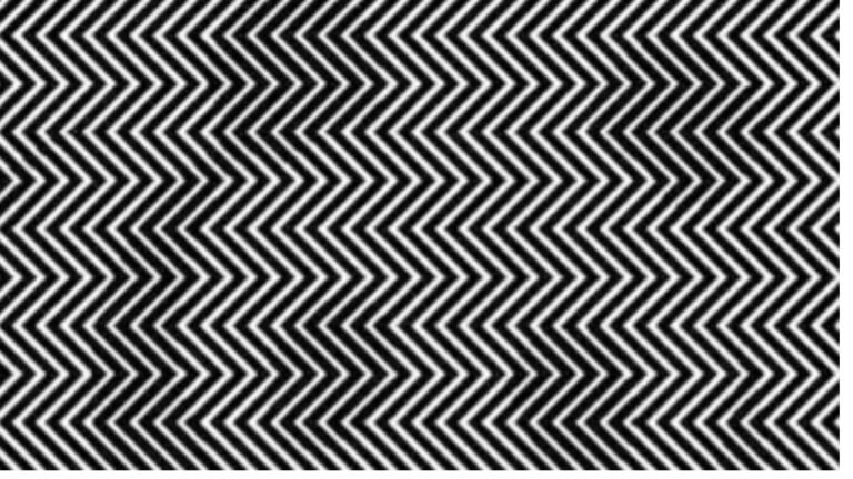 Panda Hide and Seek: Test Your Visual Skills with this Mind-Bending Zig-Zag Pattern!