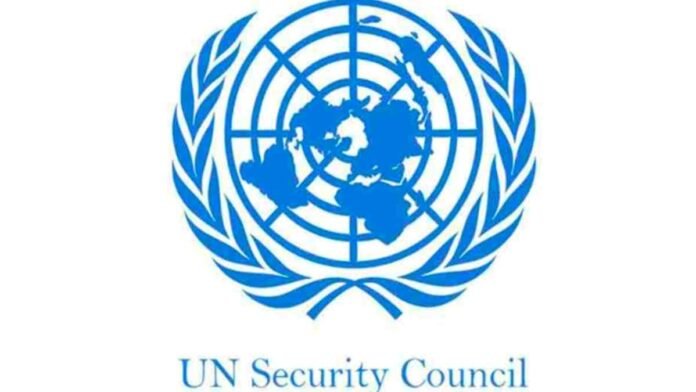 United Nations Security Council