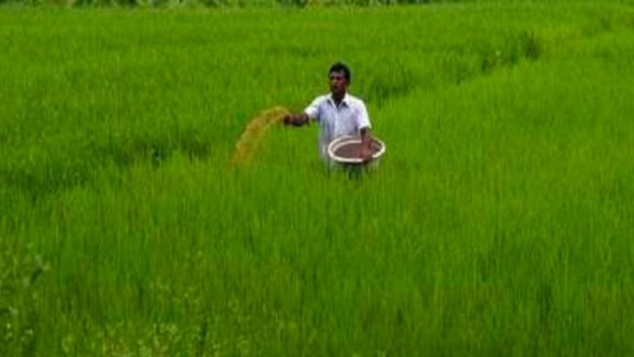 agriculture
