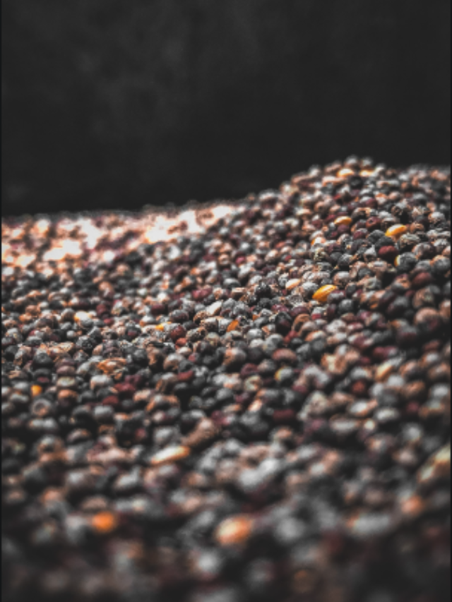 Benefits of millets for your skin Times Applaud