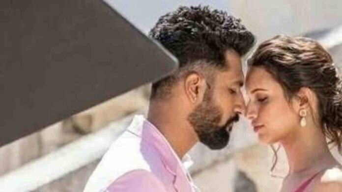 Romantic Pics Of Vicky Kaushal Lifting Triptii Dimri In Arms During Shoot Go Viral
