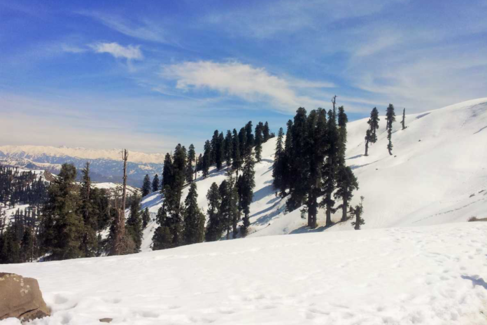 Kashmir