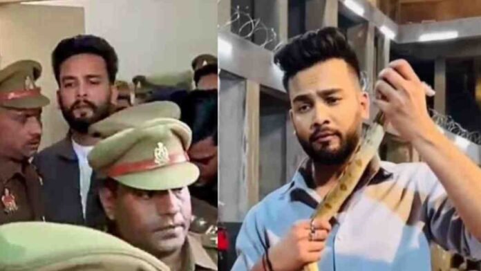 Elvish Yadav Supplied Snake Venom For Not Just Money But This Shocking Thing