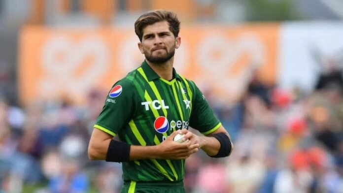 Shaheen