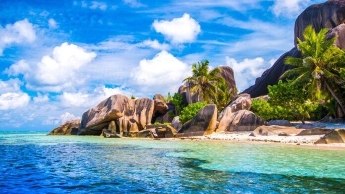 Beach Paradise
