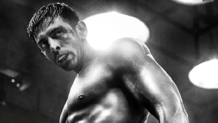 Chandu Champion Box Office Collection