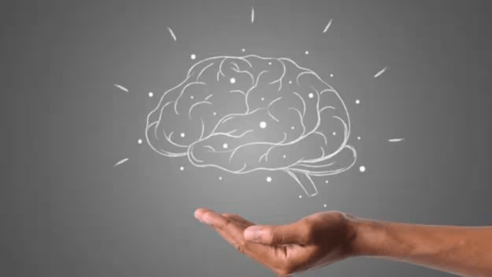 healthy brain habits