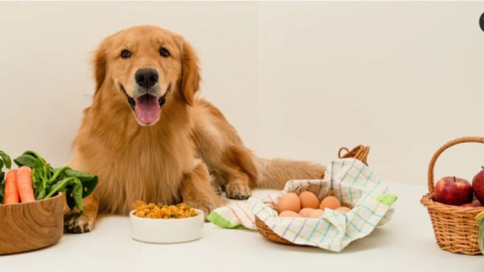Dog Nutrition