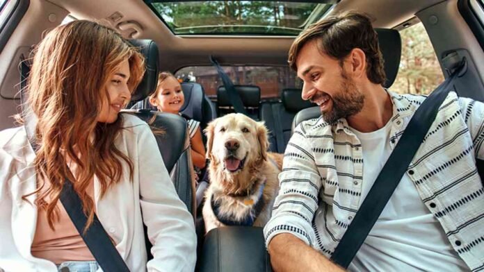 Traveling with Pets by Car Traveling with Pets by Car