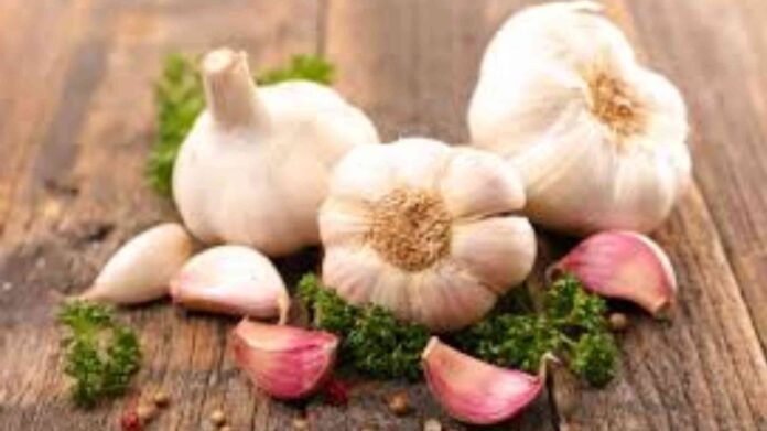 Garlic Health Benefits