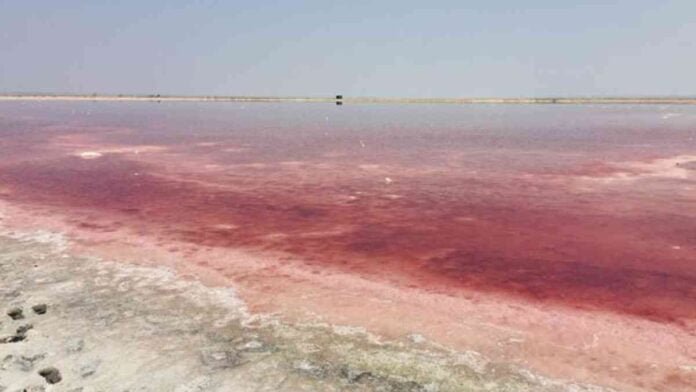 India’s Pink Lake