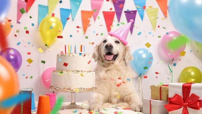 Dog Birthday Party