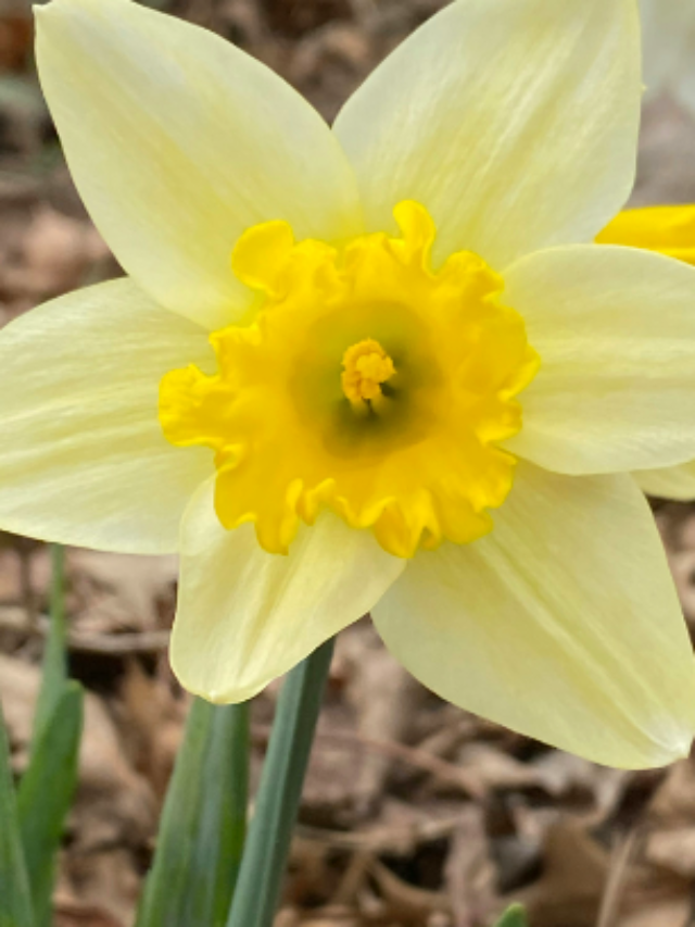 Screenshot 2024-08-06 074143