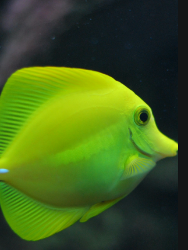 Screenshot 2024-08-17 195148