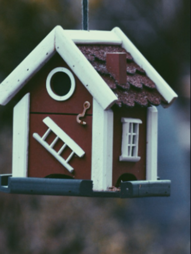 Screenshot 2024-08-22 203823