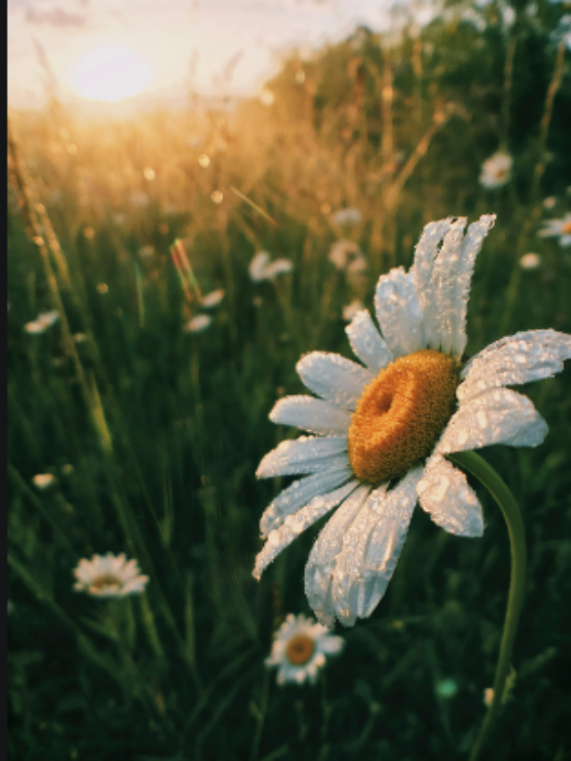 Screenshot 2024-08-22 213028