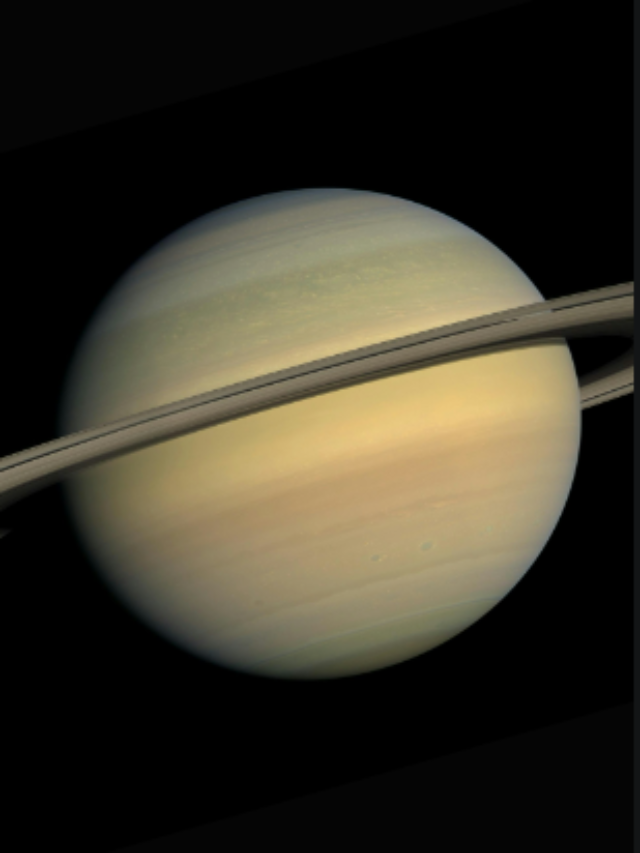 Screenshot 2024-08-25 123849