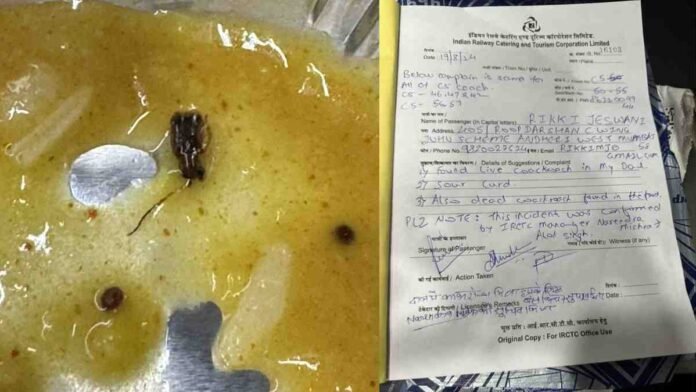 Cockroaches In Dal