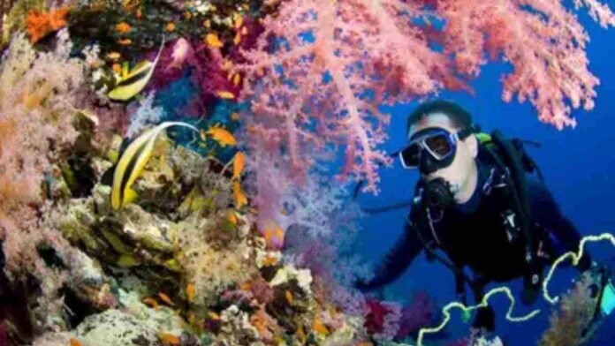 Diving spots