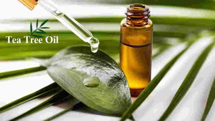 Tea tree oil benefits