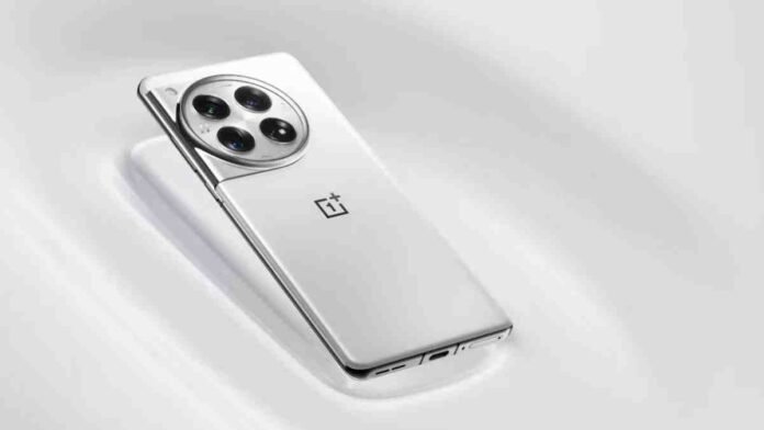 oneplus 13