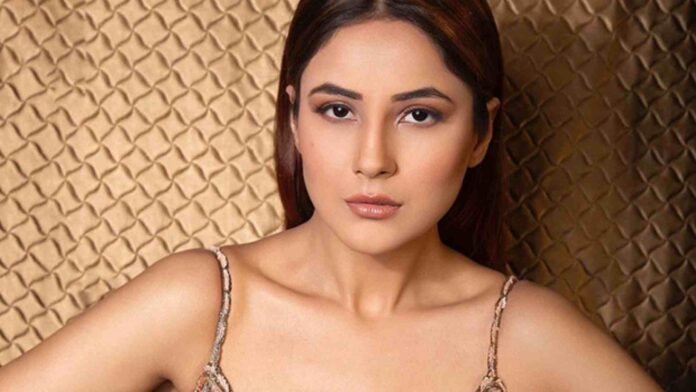 Shehnaaz Gill Criticized Wearing Swimsuit