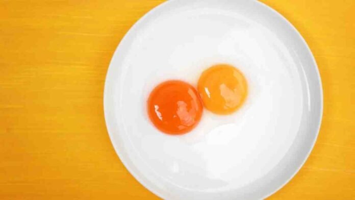 Yellow or Orange Yolks