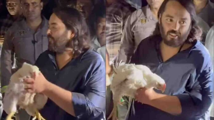 Anant Ambani Rescues Chickens