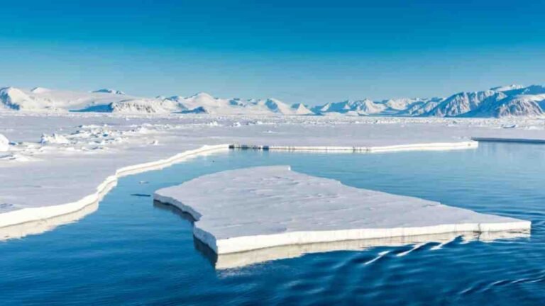 Which Is the Smallest Ocean on Earth? 5 Cool Facts You Didn’t Know