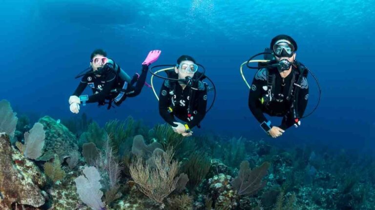 Best Scuba Diving Locations That Promise a Thrilling Underwater Journey