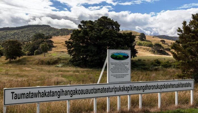 Taumata-Hill.jpg