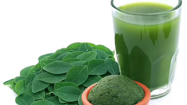 moringa.png