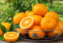 Why Is This Maharashtra City Called The Orange City Of India?