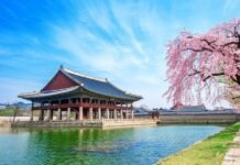 Why Is South Korea Called The ‘Land Of Morning Calm’? The Beautiful Story Behind The Name