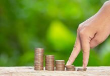 Understanding NAV in Mutual Funds: A Key Indicator for Investors