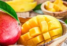 Do You Know Which City Is Known As India’s Mango City?