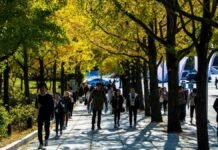 Why Koreans Stay Lean Without Dieting: Expert Reveals Walking is a regular part of Korean lifestyle.