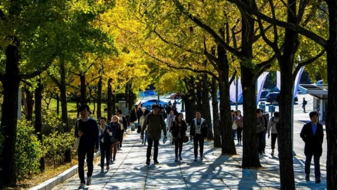 Walking is a regular part of Korean lifestyle.