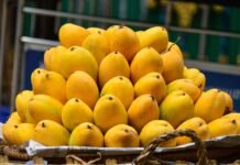Before You Buy Mangoes: Simple Ways To Spot Chemically Ripened Fruits Instantly